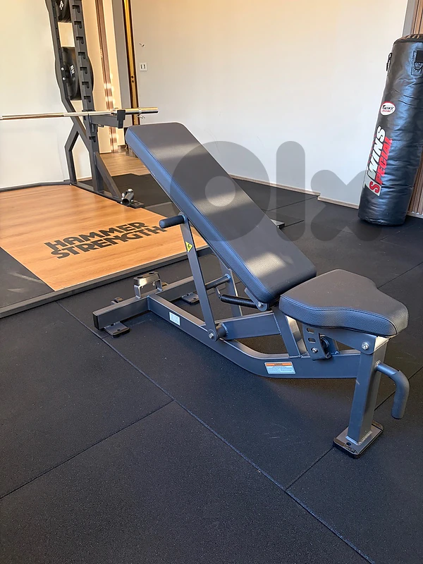 Professional Gym Use Bench Hammer Strength