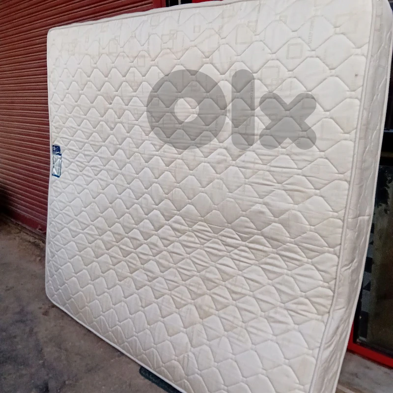 فرشي مجوز  50$