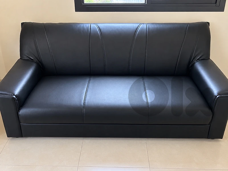 Leather couch