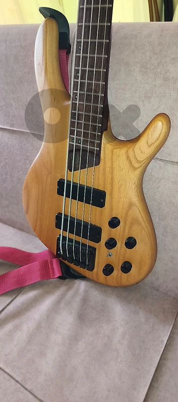 Cort B5 5-string active bass