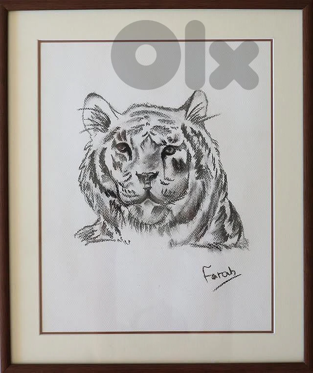 5 framed paintings