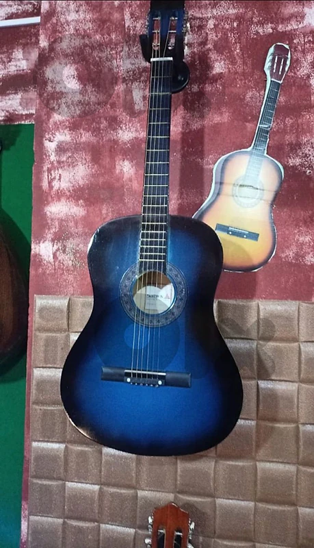 Guitar