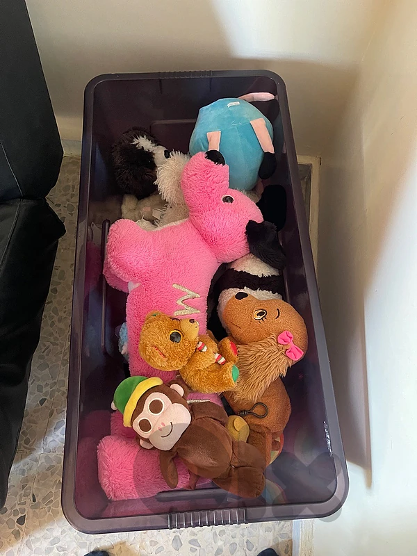 toys in bulk