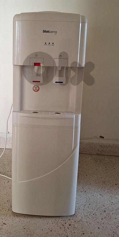 Blueberry water dispenser