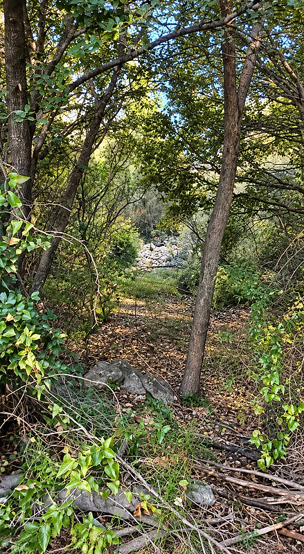 Land for Sale in Douk, Batroun أرض للبيع في الدوق، البترون