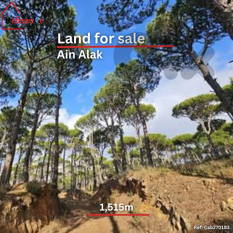 Land for Sale in Ain Alak أرض للبيع عين علق