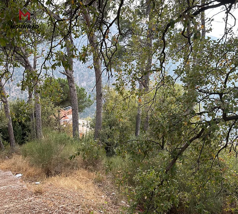 Baskinta, Metn -Licensed Land for Sale. أرض مرخّصة للبيع بسكنتا، المتن