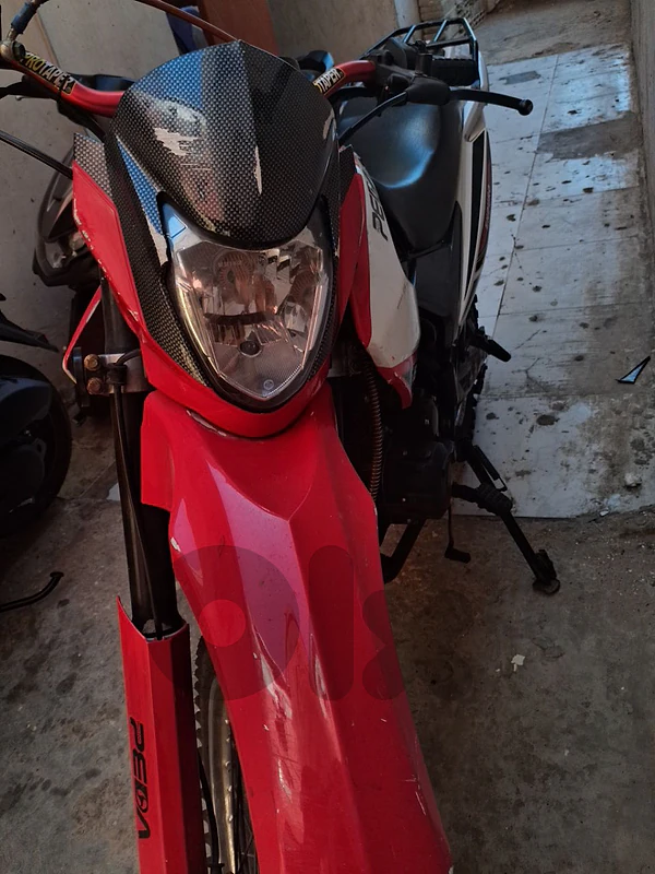 71355005