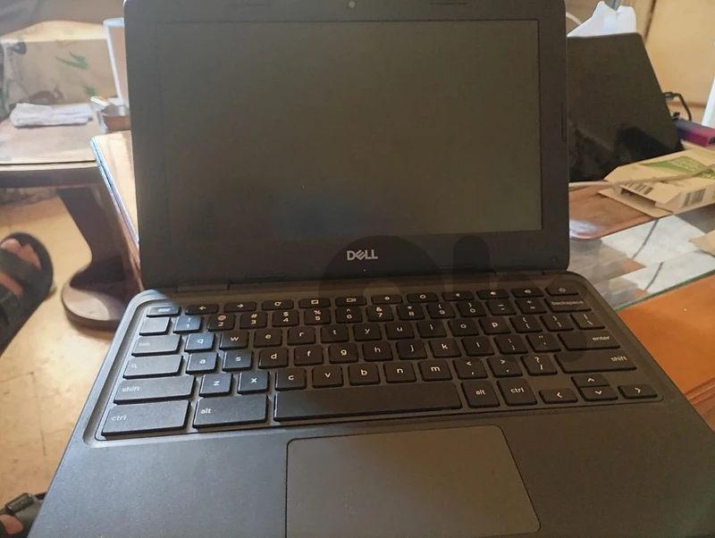 chromebook 3100