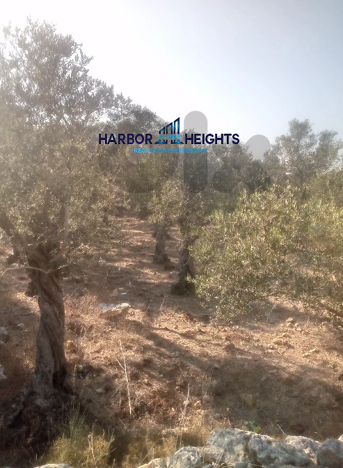 Land for Sale in Anfeh - أرض للبيع في أنفه