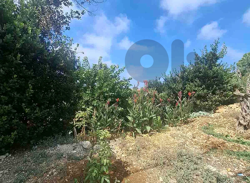 Land For Sale In Eddeh-Jbeil | أرض للبيع | PLS 26637