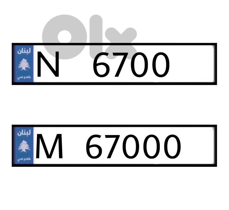 N   6700   &   M   67000