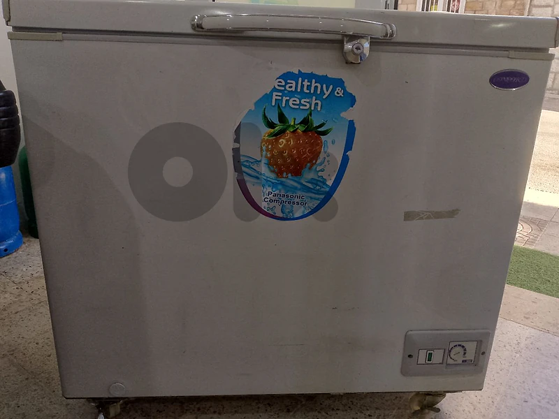 Freezer Concord