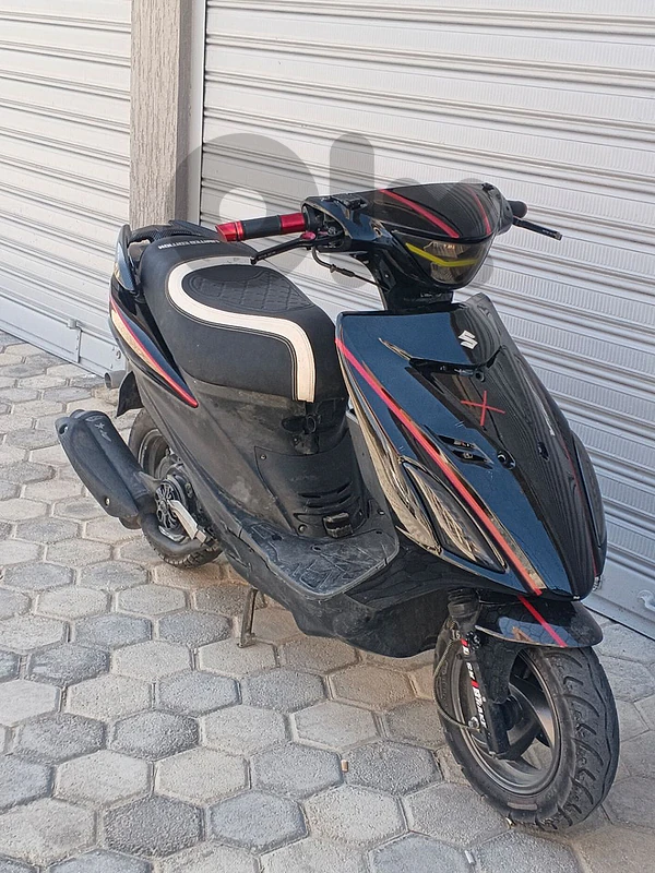 speedo v180cc 2024
