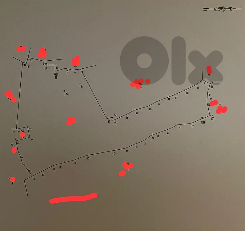 Land for sale in Ghbele أرض للبيع في غبالة