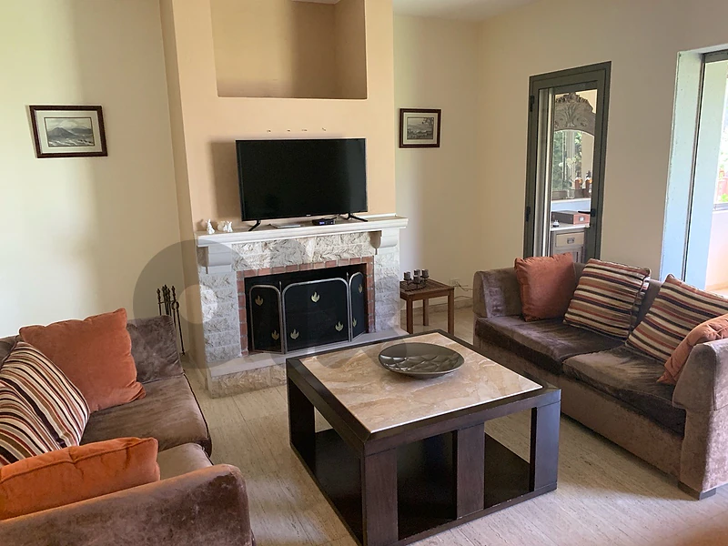 2 sofas and coffee table