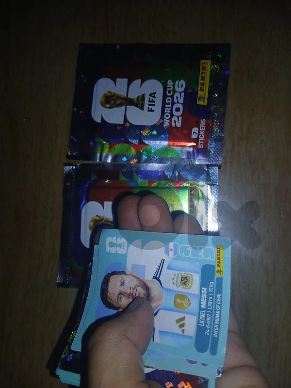 panini stickers