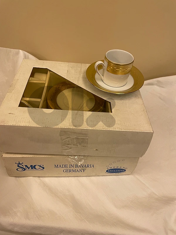 12 exclusive bavarian coffee cups with gold rim