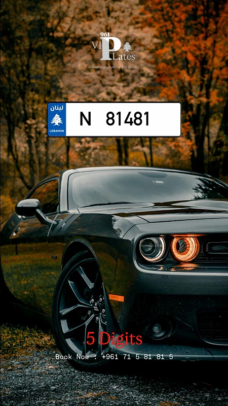 New Arrival 4 digits Plates