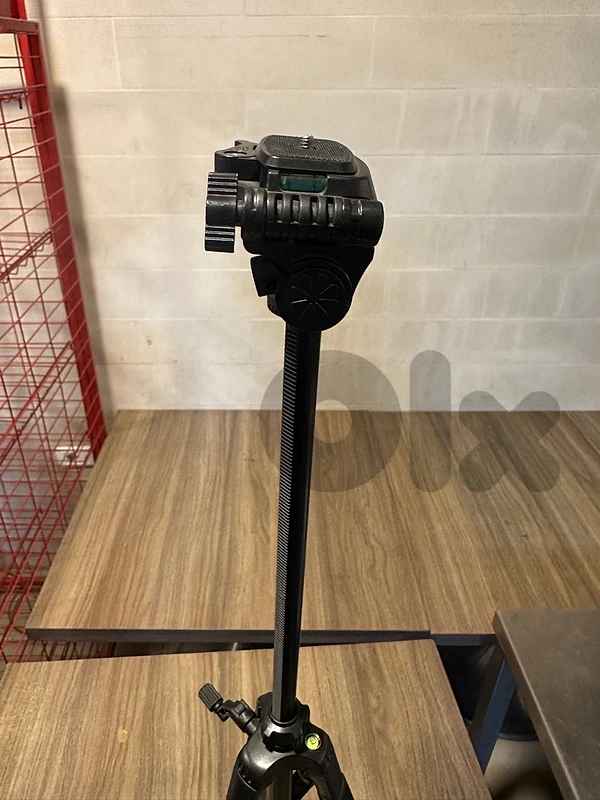 stand camera