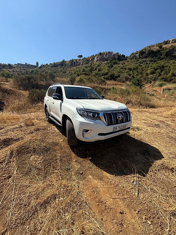 Toyota Prado 2010 2010 vxl