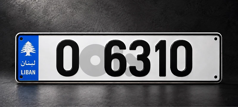 Plate number 4 digits For 63 (AMG) lovers