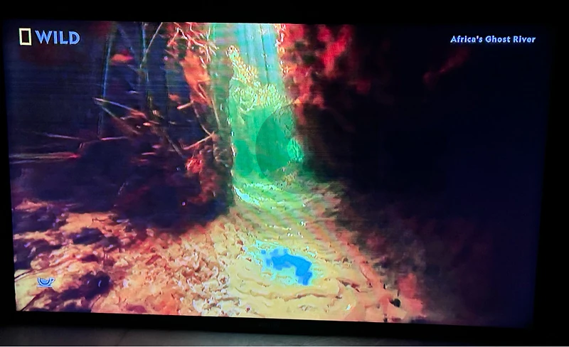 Philips TV