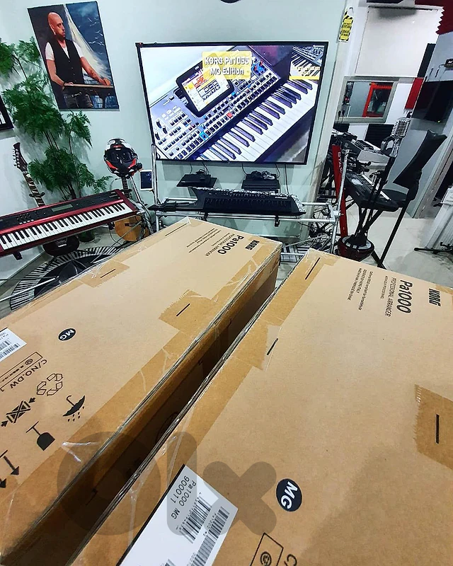 KORG Pa1000 MG (new)
