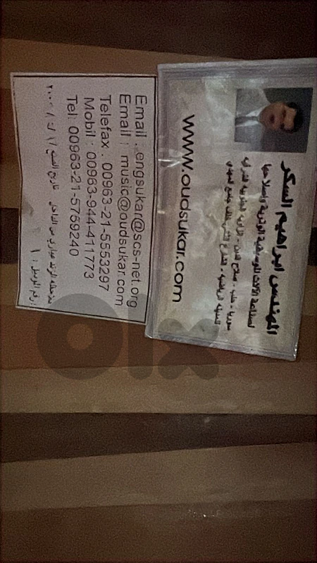 عود شامي