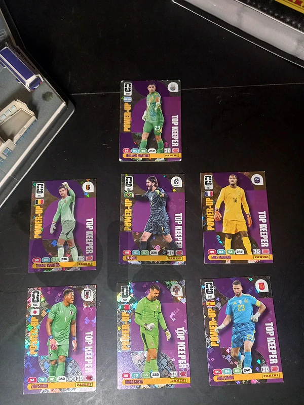 panini card 26