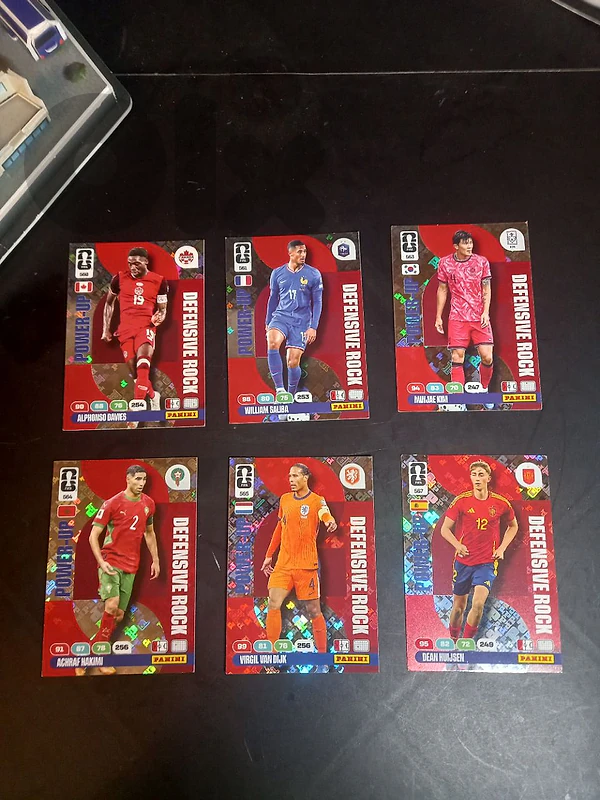 panini card 26