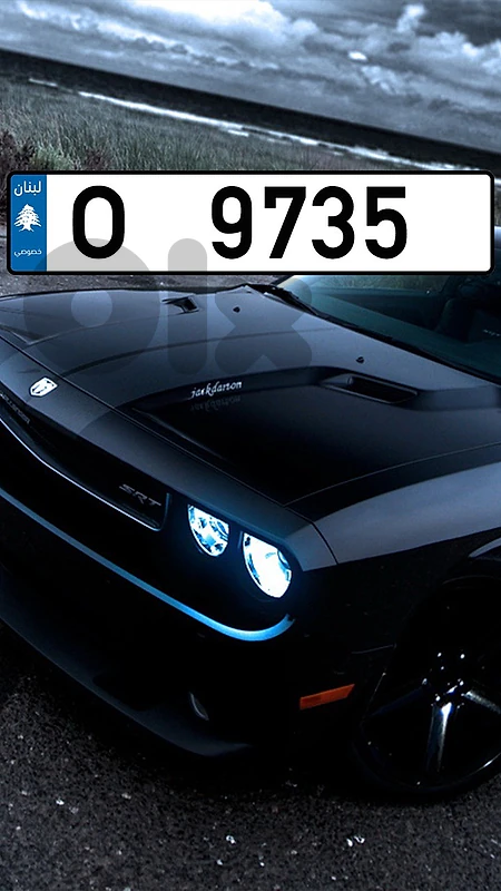 plate number