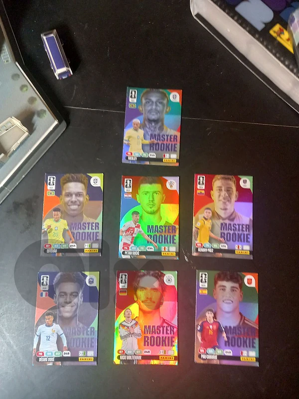 panini card 26