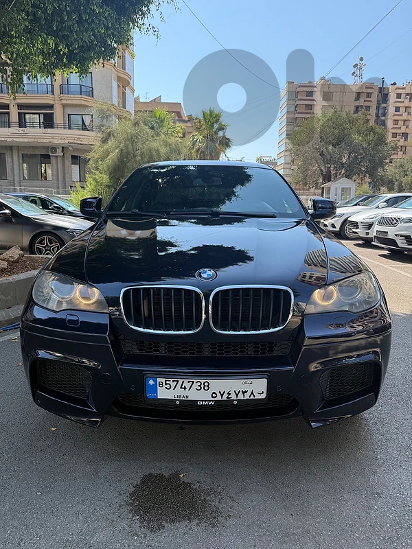 BMW X6 2010