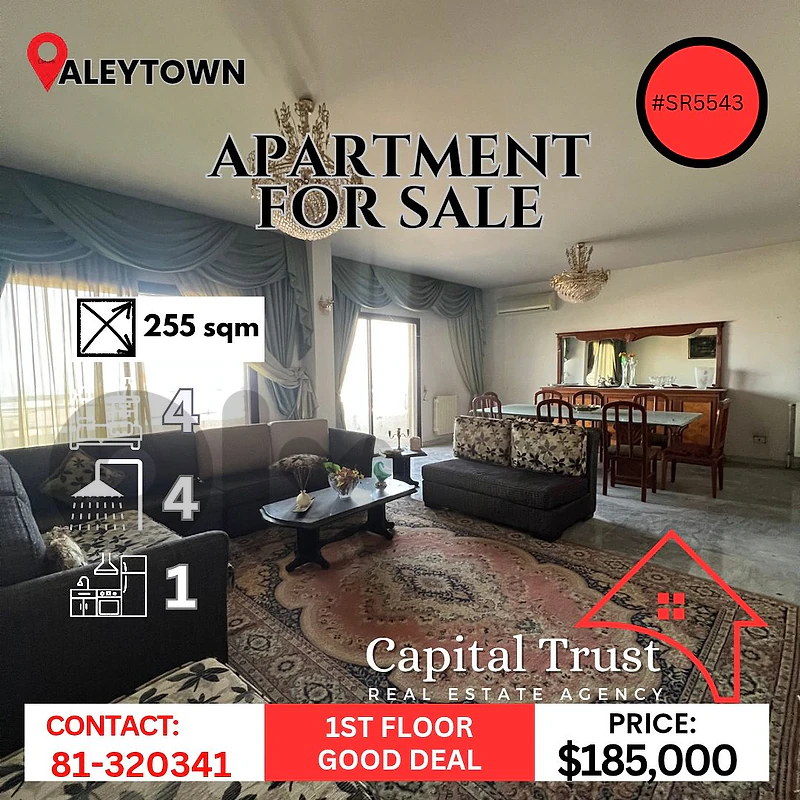 Apartment For Sale In Aley Town شقة للبيع في عاليه Apartment For Sale In Aley Town شقة للبيع في عاليه