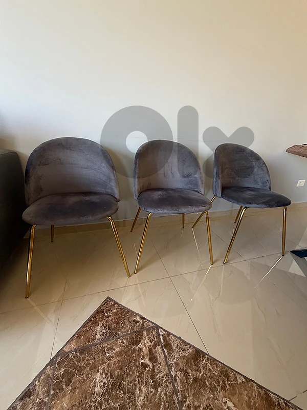 dining chairs