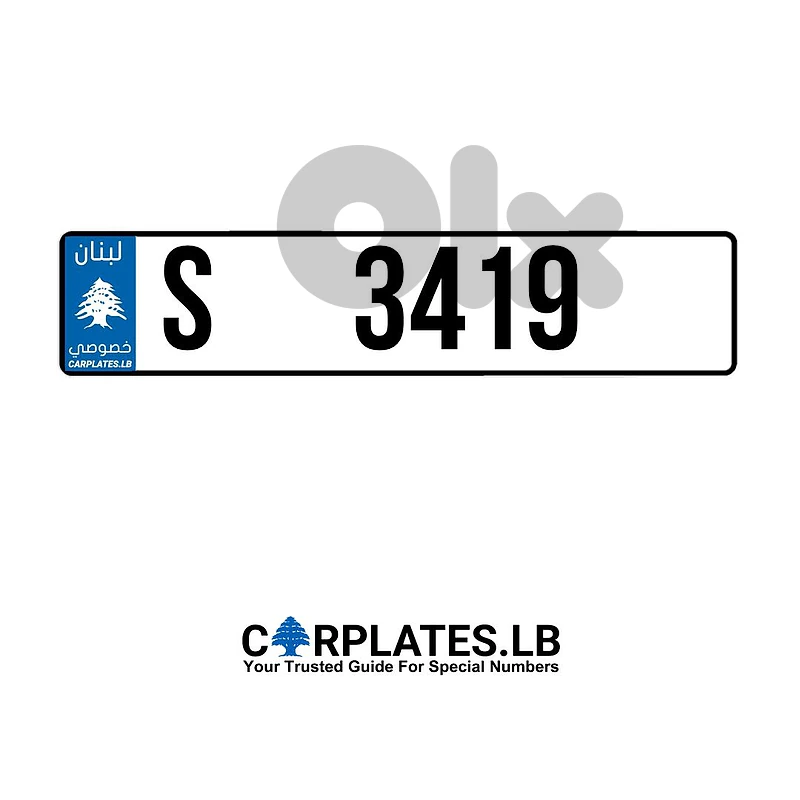 S 3419 S 3419