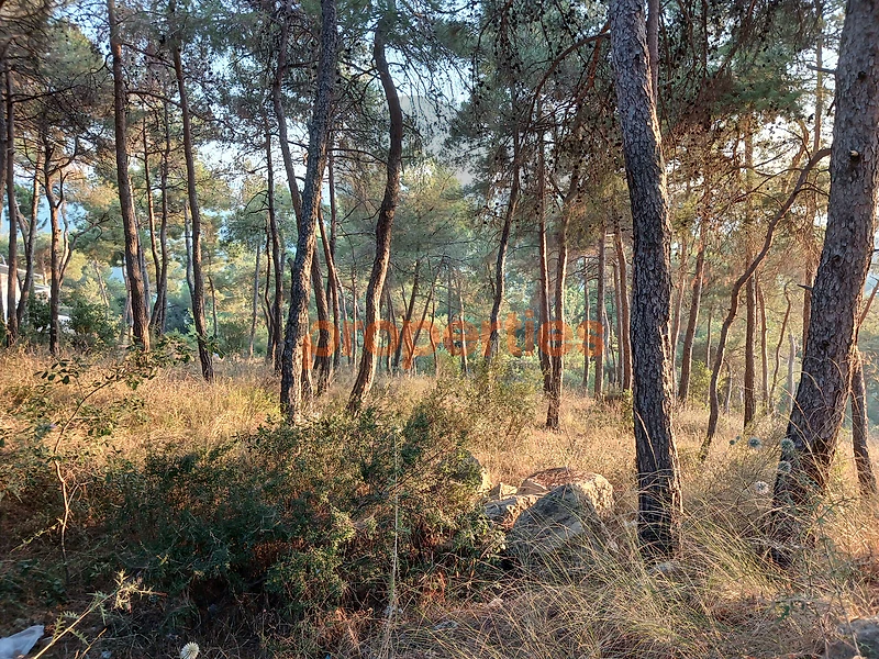 Land For Sale In Baabdat With Easy Access ارض للبيع في بعبدات CPKH64