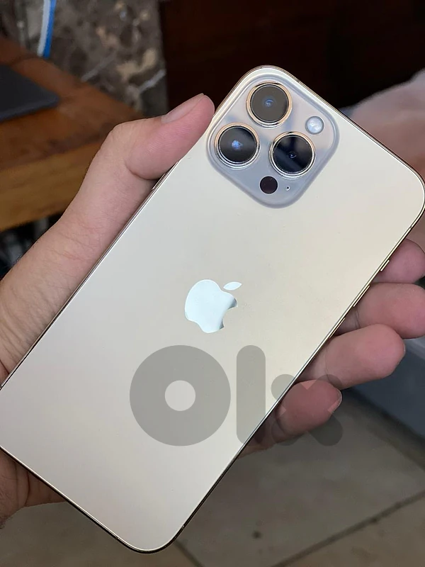 iPhone 13 pro max