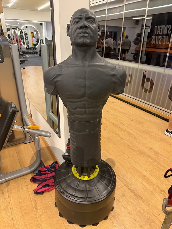 boxing bag (man)