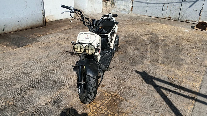 honda zoomer