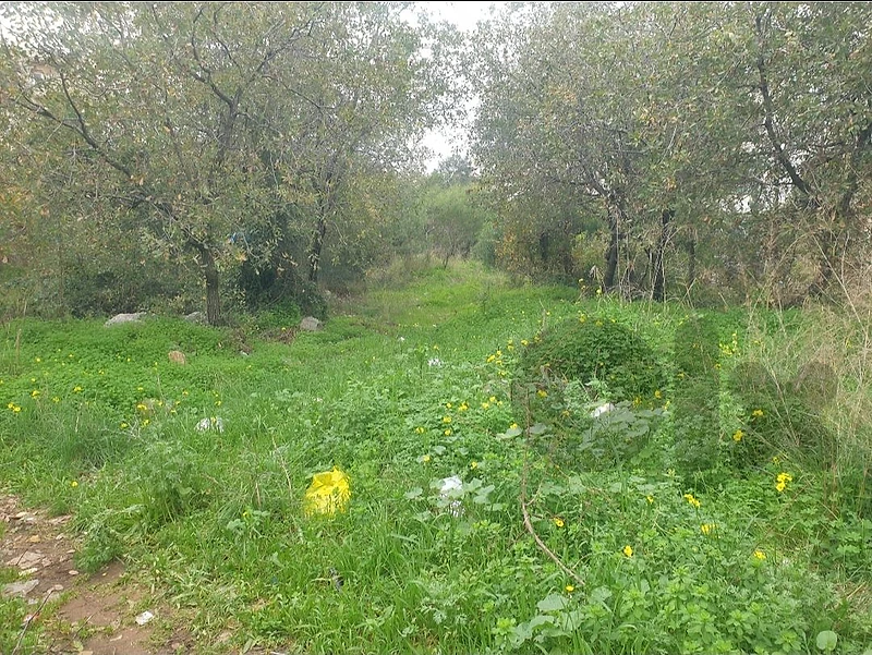 1000m2 Land in Cornet chahwan