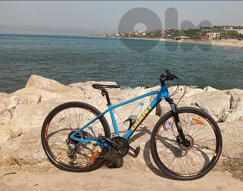 Giant Roam 2