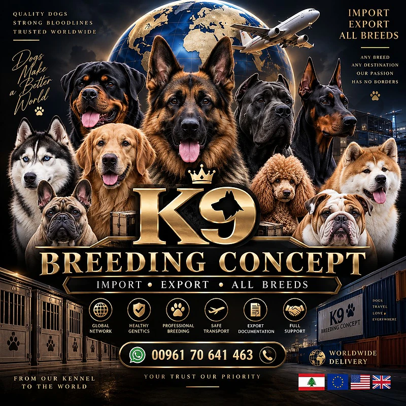 import and export all breeds