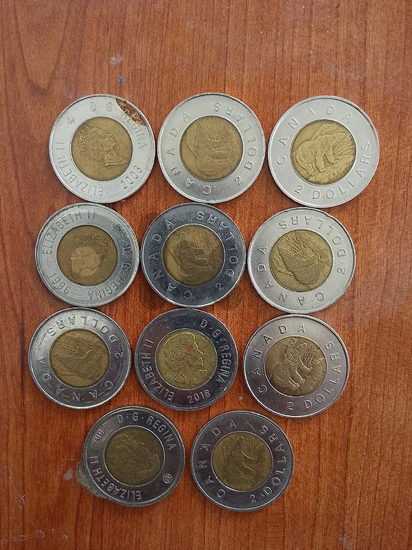 دولار كندي على سعر الصرف