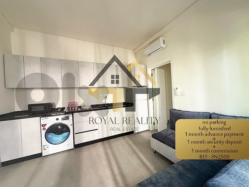 apartment for rent in Achrafieh -SN شقة للايجار في الاشرفية
