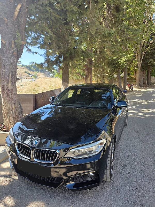 BMW 2-Series 2017 220i