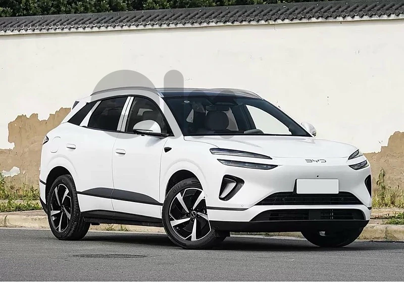 BYD Other 2026