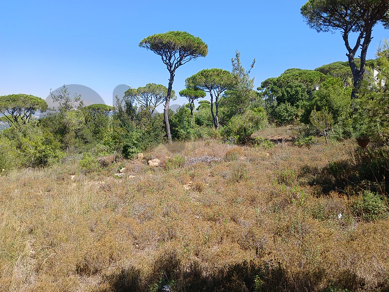 Land for Sale – Ras El Maten  أرض للبيع – رأس المتن
