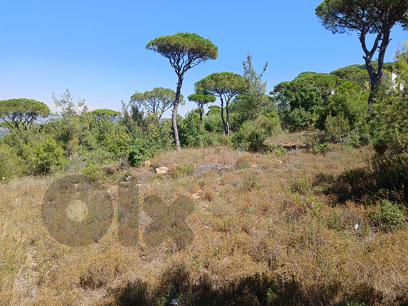 Land for Sale – Ras El Maten  أرض للبيع – رأس المتن